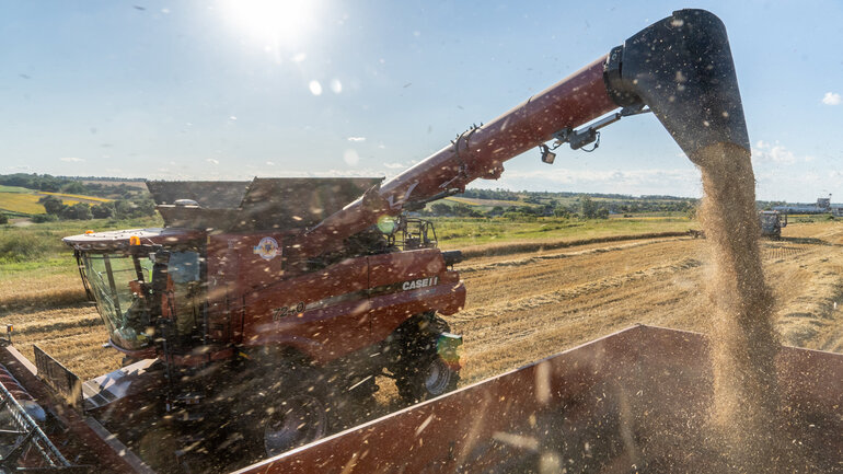 Landwirtschaftliche Weizenernte mit einem Mähdrescher auf einem Feld
